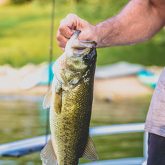 MadBite 24 Pack Ned Rig Jig Hook Kits