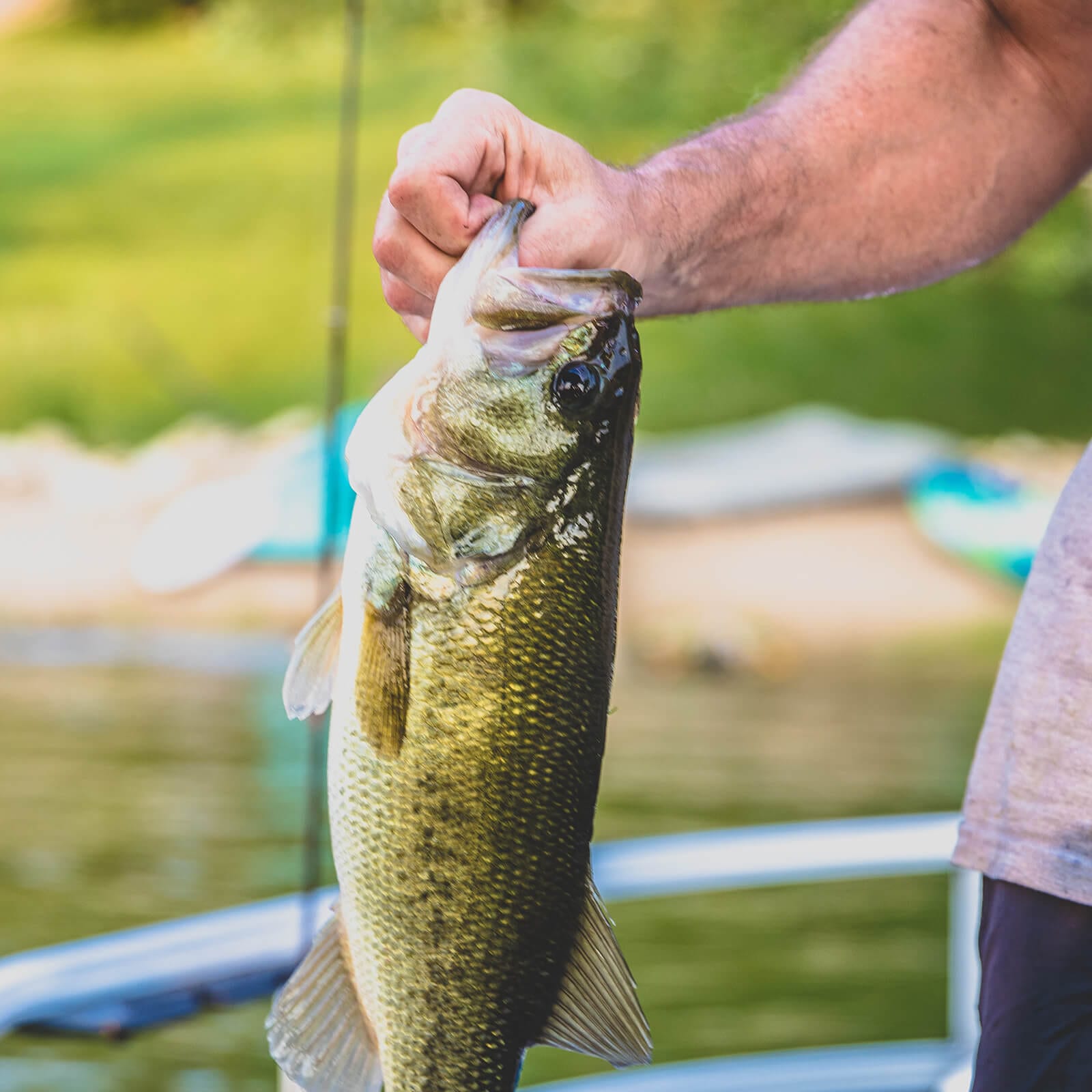 MadBite 24 Pack Ned Rig Jig Hook Kits