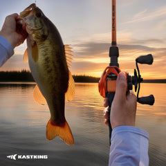 KastKing Lethal Blaze Twin-Tip Baitcaster Rod and Reel Combo