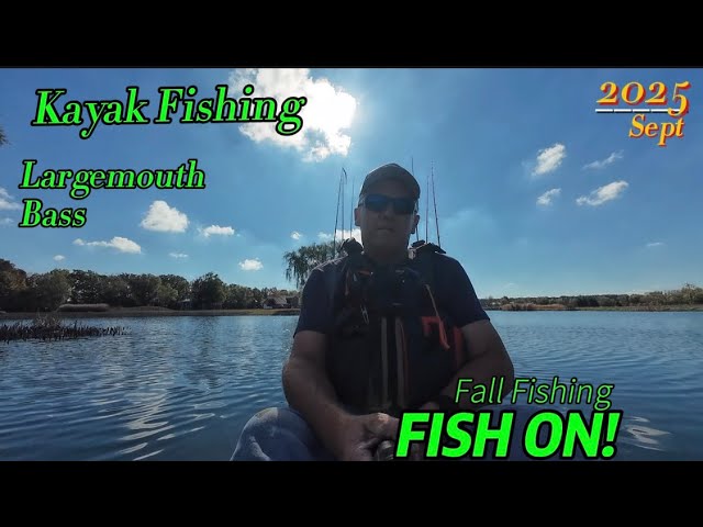 Judge.me YouTube video placeholder